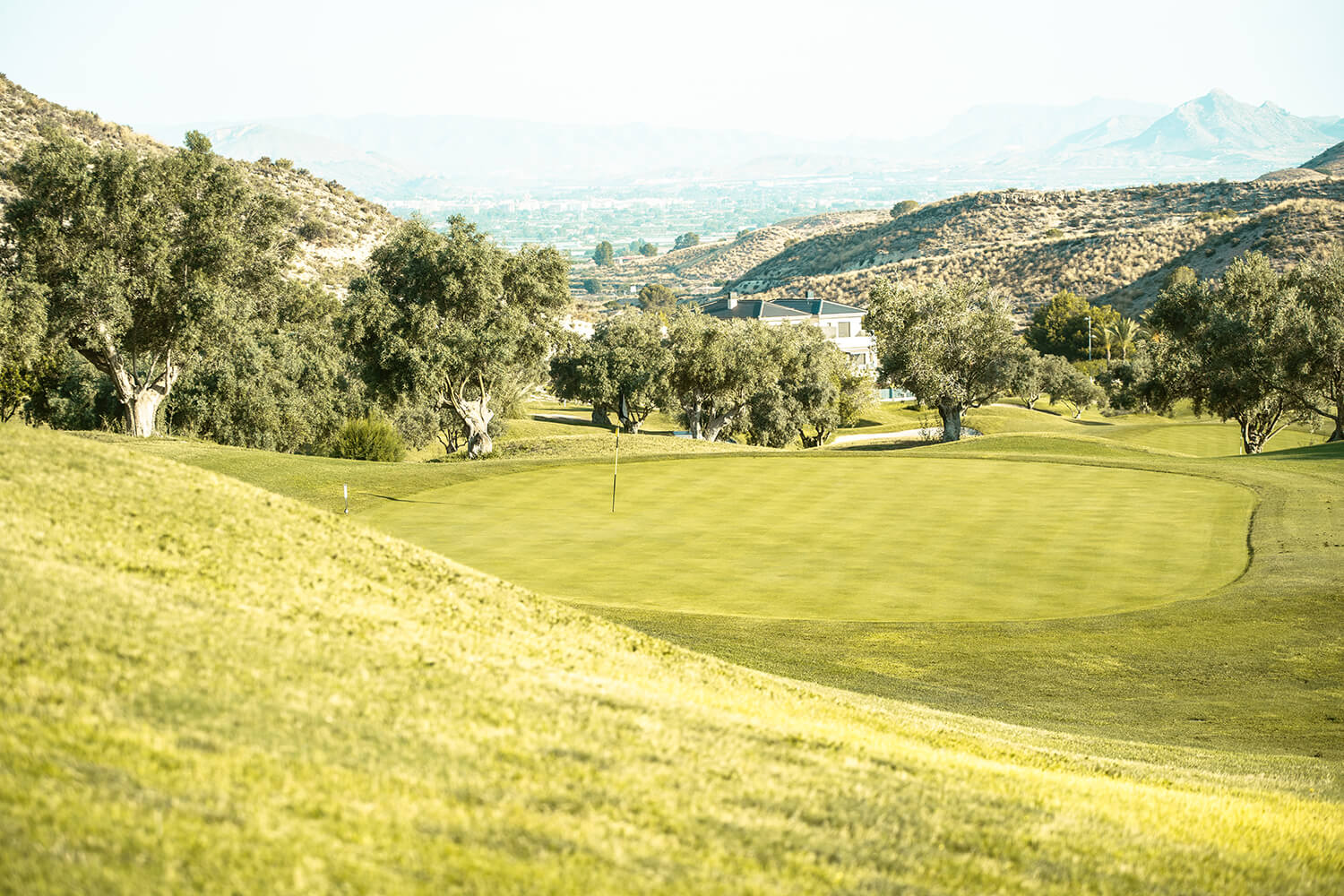 fdlcampogolf36